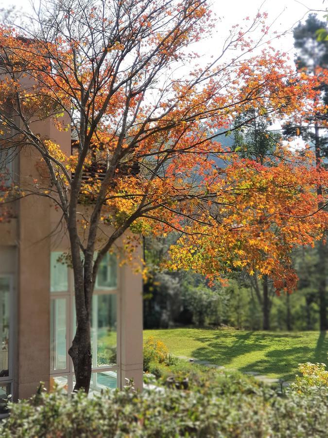 Around The Tree Manor Daire Shitan Oda fotoğraf