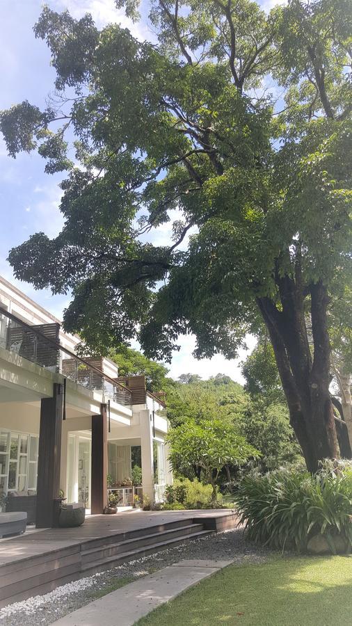 Around The Tree Manor Daire Shitan Oda fotoğraf