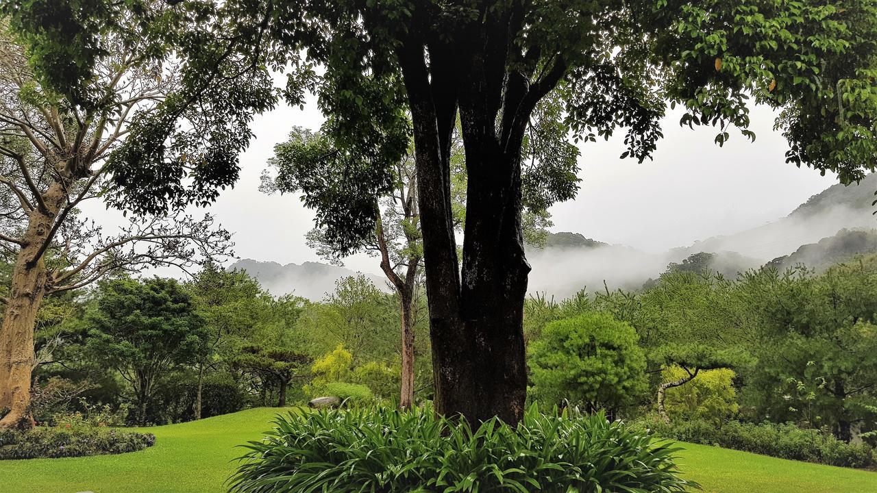 Around The Tree Manor Daire Shitan Oda fotoğraf