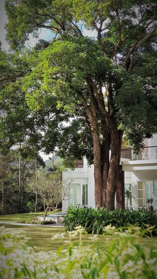 Around The Tree Manor Daire Shitan Oda fotoğraf