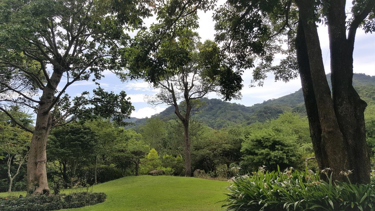 Around The Tree Manor Daire Shitan Oda fotoğraf