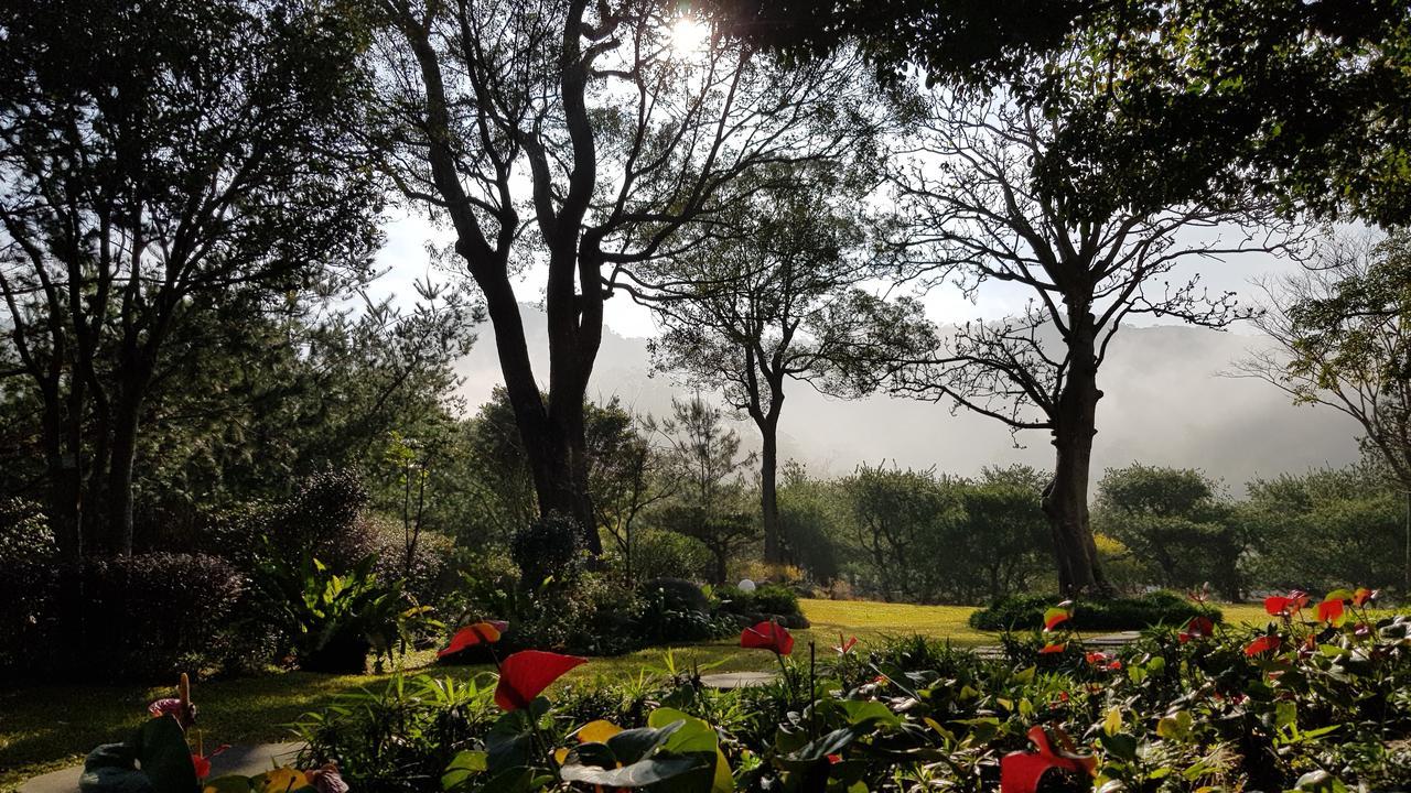 Around The Tree Manor Daire Shitan Dış mekan fotoğraf