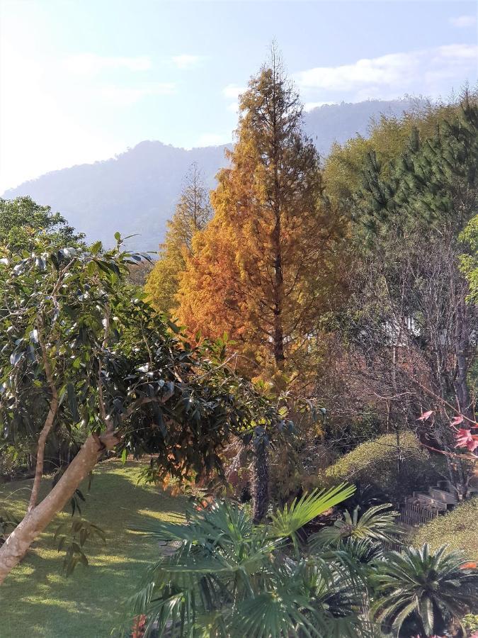 Around The Tree Manor Daire Shitan Oda fotoğraf